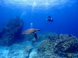 宮古島のダイビング