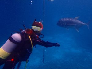 宮古島のダイビング