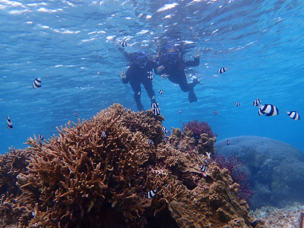 宮古島のシュノーケリング