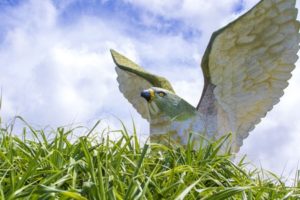 フナウサギバナタ