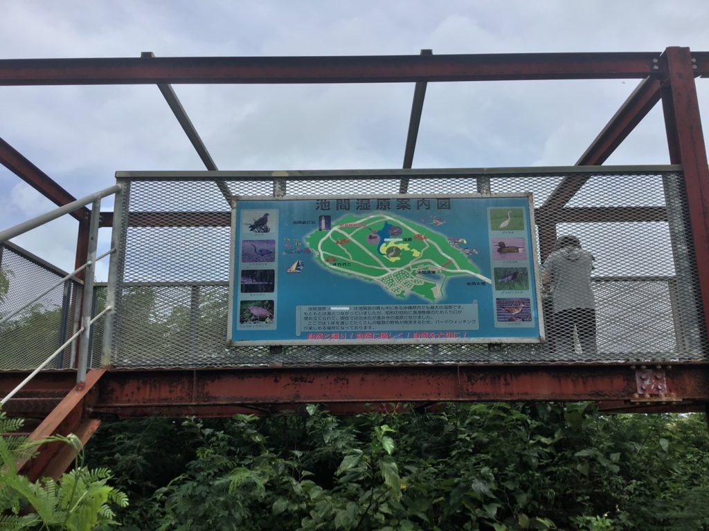 池間湿原
