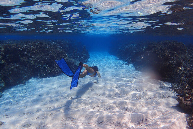 宮古島の水中世界を楽しむフリーシュノーケリング