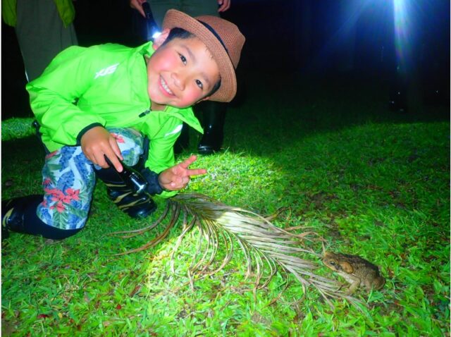宮古島のナイトツアー