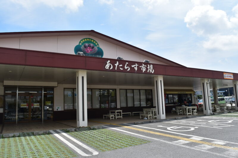 在公
