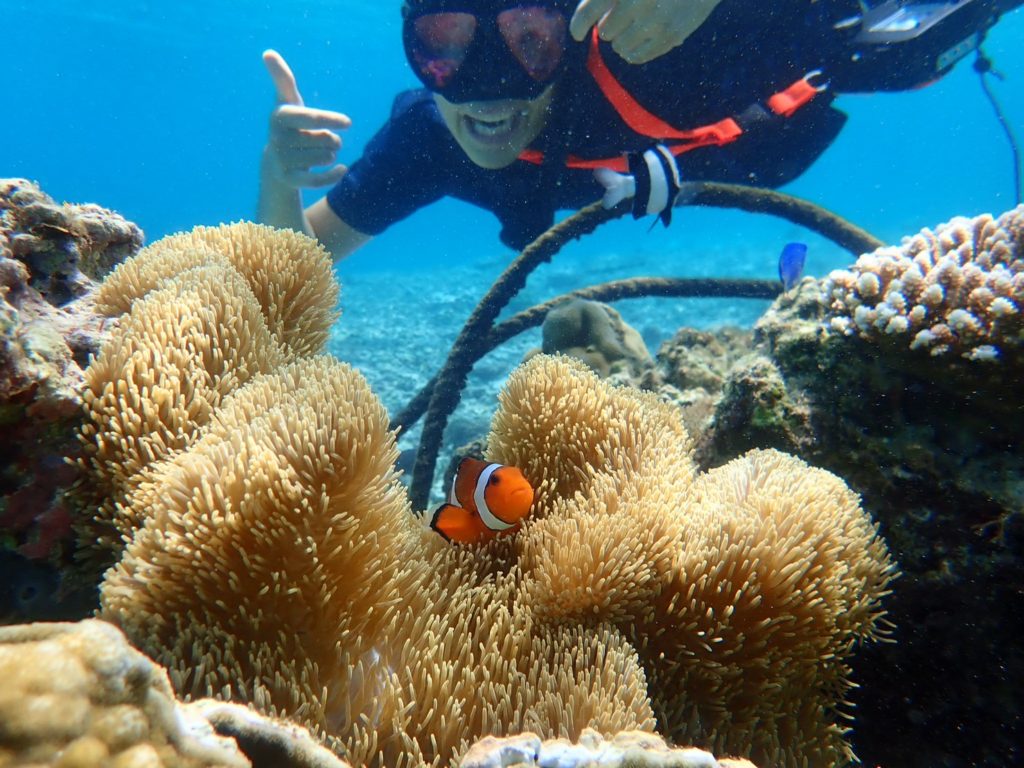 宮古島のシュノーケリング