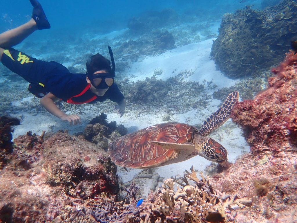 宮古島のシュノーケリング