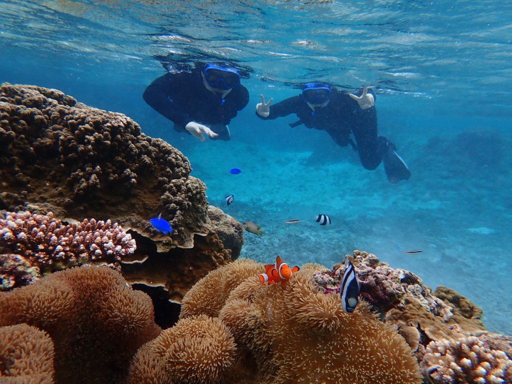 宮古島のシュノーケリング