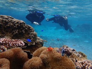 宮古島の団体ツアーのシュノーケリング