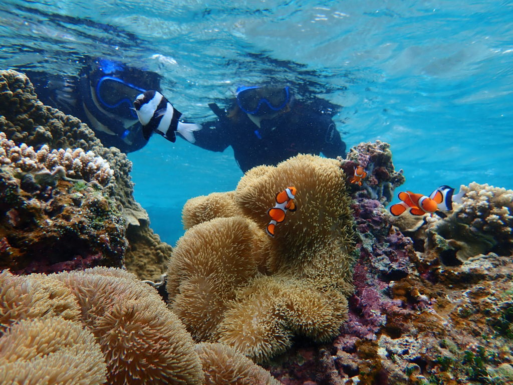 宮古島のシュノーケリング