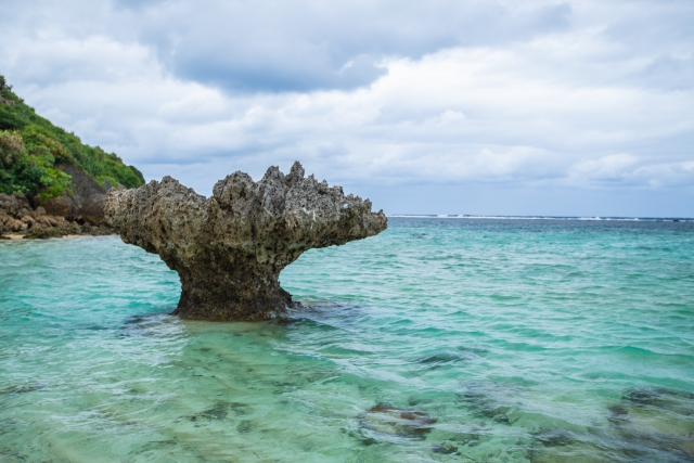 新城海岸