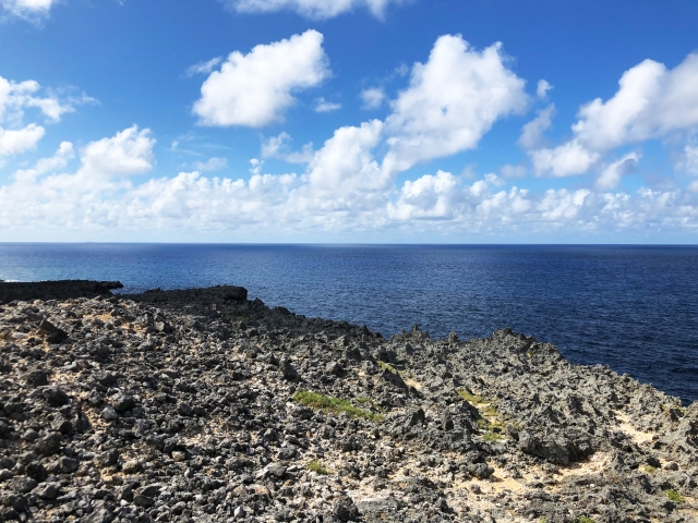 西海岸公園