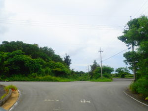 新城海岸の行き方