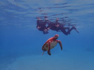 宮古島のシュノーケリング