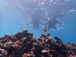 宮古島のシュノーケリング