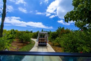 ユートピアファーム