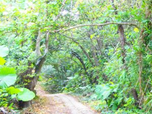 来間島の観光スポットのタコ公園