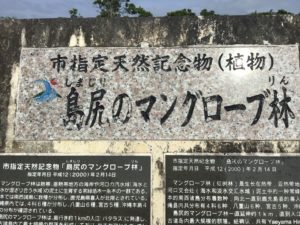 島尻マングローブ
