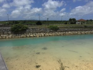 トゥリバー海浜