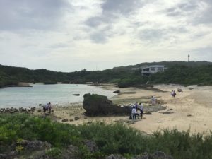 イムギャーマリンガーデン