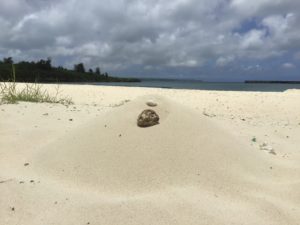 パイナガマビーチ