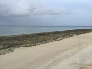 平瀬尾神崎ビーチ