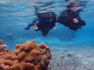 宮古島のシュノーケリング