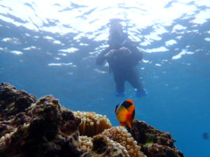 宮古島のシュノーケリング