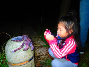 宮古島のナイトツアー