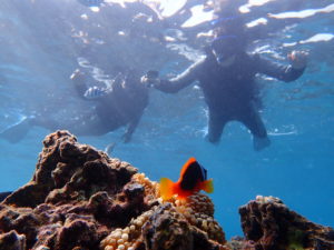 宮古島のシュノーケリング