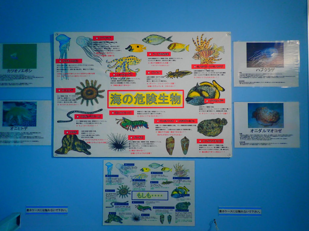 宮古島海中公園