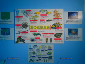 宮古島海中公園