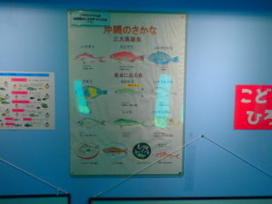 宮古島海中公園