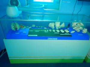 宮古島海中公園