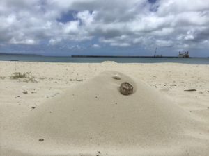 パイナガマビーチ