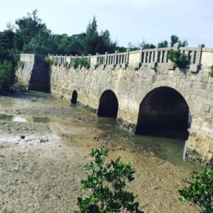 島尻マングローブ