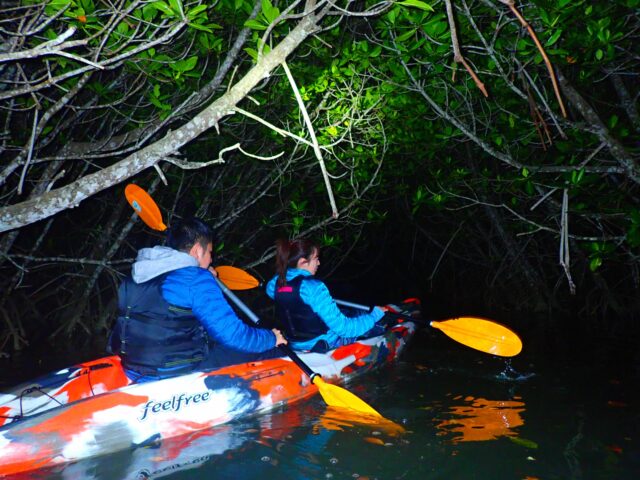 宮古島　ナイトマングローブカヌー