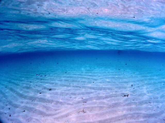 【宮古島】透明度抜群の海に圧巻！大人気エリア『八重干瀬』ボードファンダイビング2diveツアー