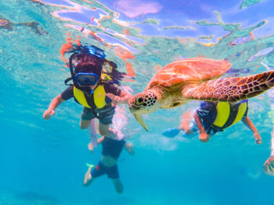 宮古島 ウミガメシュノーケリング