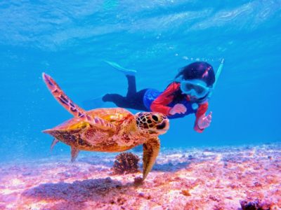 宮古島 ウミガメシュノーケリング