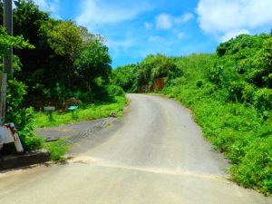 添道サガリバナ