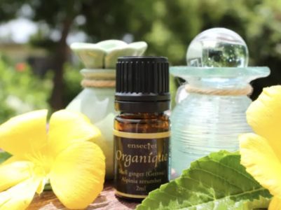 宮古島,スパ,ボディマッサージ,月桃オイル,隠れ家サロン,マッサージ,アロマオイル