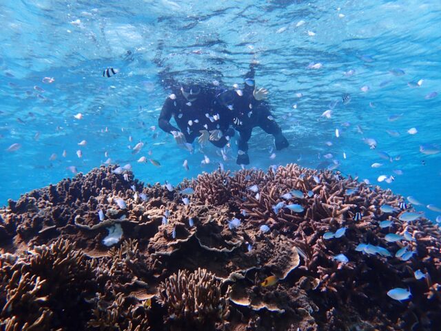 宮古島　シュノーケリング