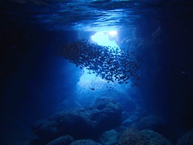 【沖縄・伊良部島】大人気！青の洞窟シュノーケリング＋グラスボート海底遊覧ツアー♪