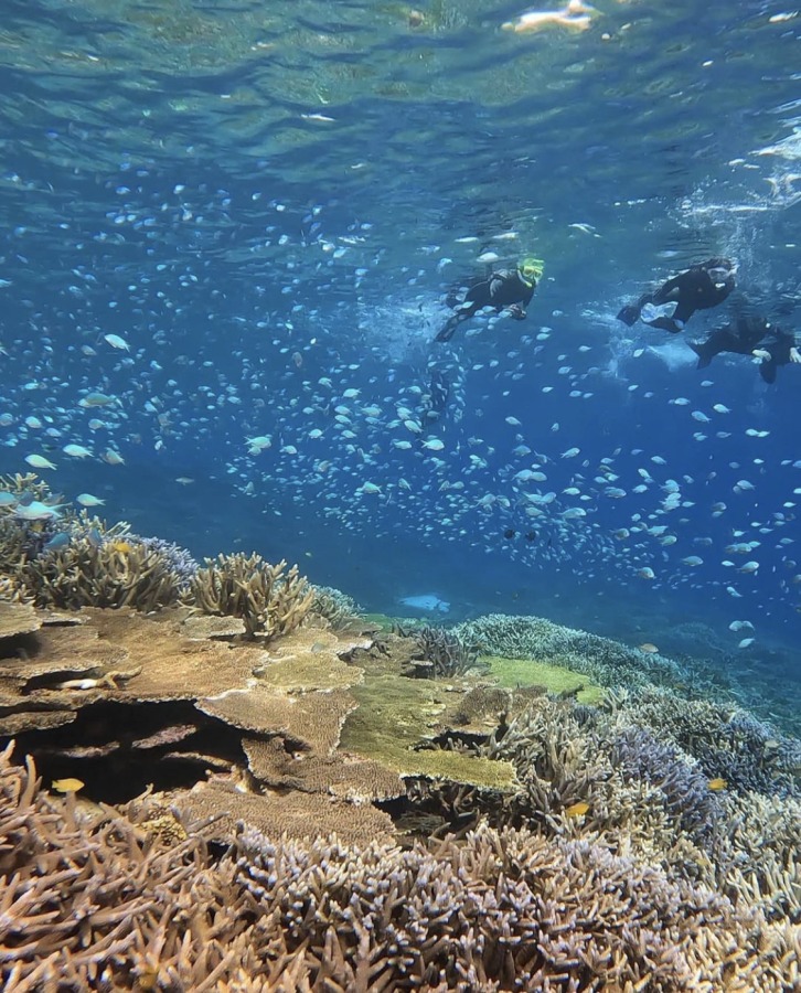 【宮古島】日本最大級のサンゴ礁広がる『八重干瀬（ヤビジ）』シュノーケルトリップ◆Bコース 約4.5時間3〜4ポイント（No.977）