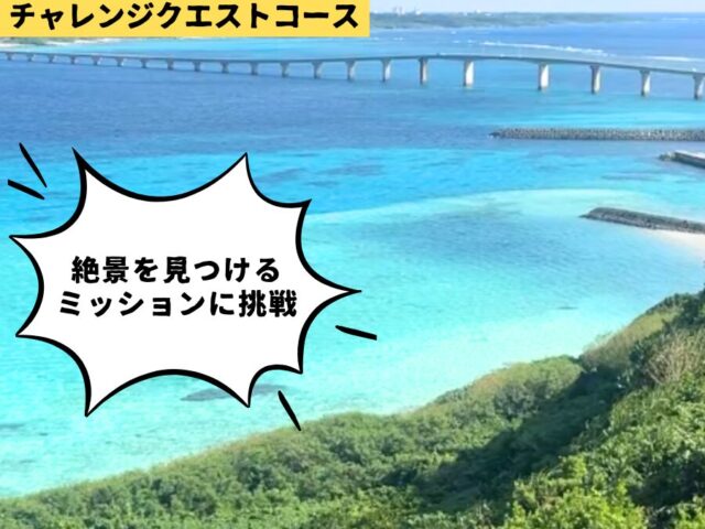 アクティビティ