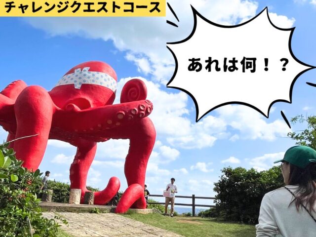 アクティビティ