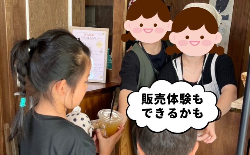 アクティビティ