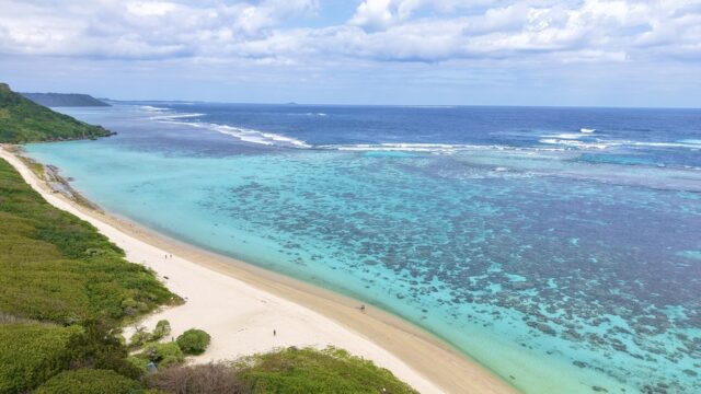 ウミガメ　シュノーケリング