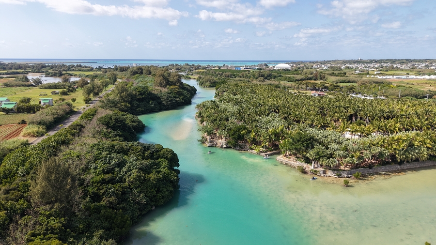 【宮古島/約1時間半】マングローブSUPで味わう静かな非日常ツアー☆時間帯が選べて無理なく安心◎《写真無料・未就学児無料》（No.754）