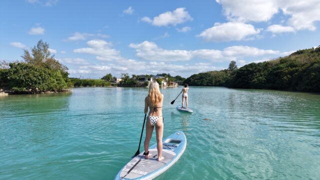 マングローブ　SUP